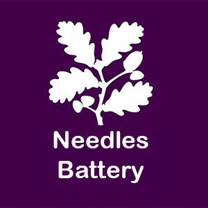 Needles Battery Logo
